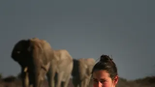 Boj o sloní trůn