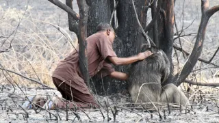 Útulek pro záchranu šimpanzů Jane Goodallové (2/6)