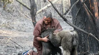 Útulek pro záchranu šimpanzů Jane Goodallové (2/6)