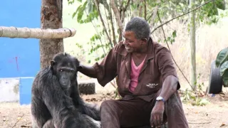 Útulek pro záchranu šimpanzů Jane Goodallové (2/6)