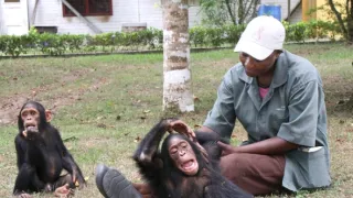 Útulek pro záchranu šimpanzů Jane Goodallové (2/6)