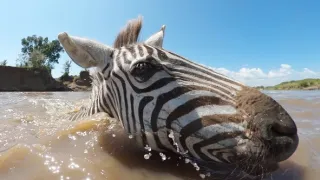 Zázračná planéta: Serengeti II (6/6)