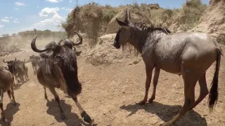 Zázračná planéta: Serengeti II (6/6)