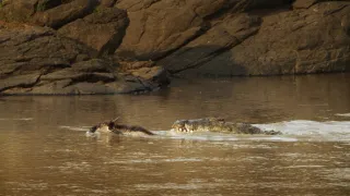 Zázračná planéta: Serengeti II (6/6)