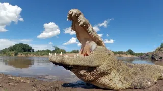 Zázračná planéta: Serengeti II (6/6)