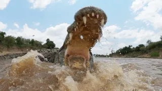 Zázračná planéta: Serengeti II (6/6)