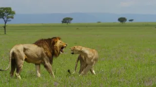 Zázračná planéta: Serengeti II (6/6)