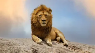 Zázračná planéta: Serengeti II (6/6)