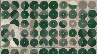 Antropocén - vek človeka (1/3)