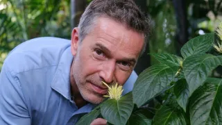 Antropocén - vek človeka (1/3)