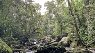 Neznámy Madagaskar (1/2)