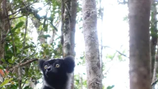 Neznámy Madagaskar (1/2)