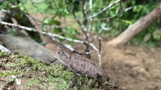 Neznámy Madagaskar (1/2)