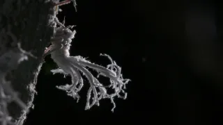 Neznámy Madagaskar (1/2)