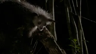 Neznámy Madagaskar (1/2)