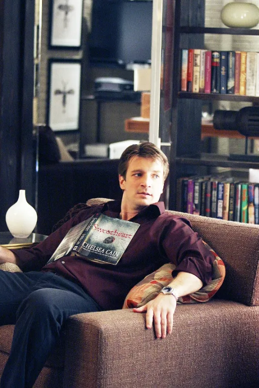 Vtierka Castle (Castle I. HD - A Death in the Family), 2009 - fotogaléria