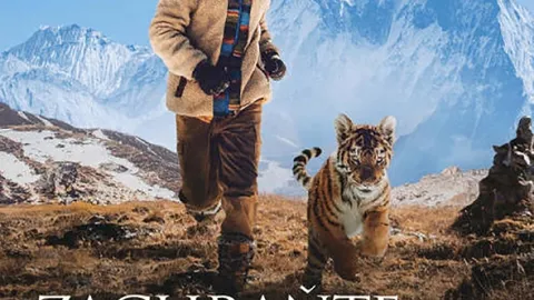 Zachráňte tigra!
