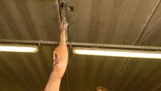 Brutální biologie (4)