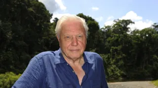 Velká přírodovědná dobrodružství Davida Attenborougha (2/3)