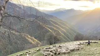 Aragvi - neznámá Gruzie