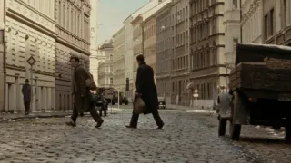 Anthropoid