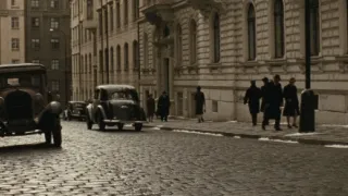 Anthropoid