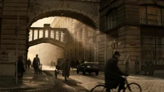 Anthropoid