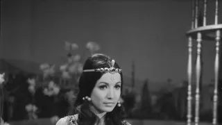 Abú-l Hasan čtverák