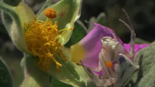 Maremma - přírodní skvost Toskánska (2/2)