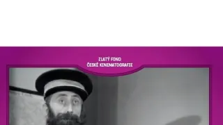 Bílá vrána