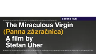 Panna zázračnica