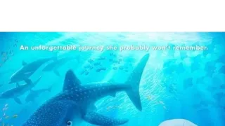 Hledá se Dory