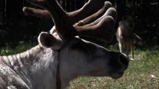 Na cestě po severozápadě Mongolska