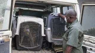 Útulek pro záchranu šimpanzů Jane Goodallové (4/6)
