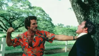 Magnum