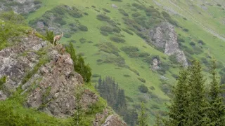 Poslední přírodní ráje (6/6)