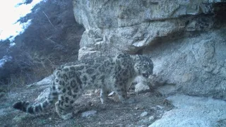 Poslední přírodní ráje (6/6)