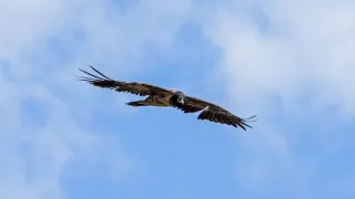 Poslední přírodní ráje (6/6)