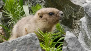 Poslední přírodní ráje (6/6)