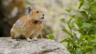 Poslední přírodní ráje (6/6)