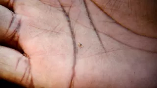 Za mřížemi: V nejdrsnějších věznicích světa (2/6)