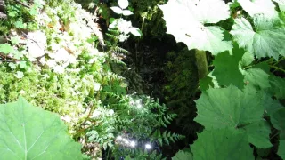 Zázračné studánky