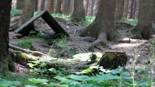 Zázračné studánky