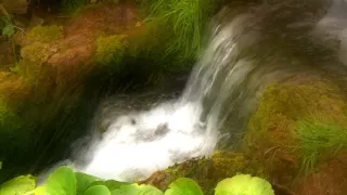 Zázračné studánky