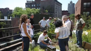 CSI: New York-i helyszínelők V (14)