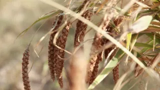 Hodvábnou cestou v ústrety svetu (2/3)