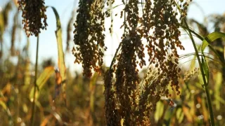 Hodvábnou cestou v ústrety svetu (2/3)