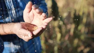 Hodvábnou cestou v ústrety svetu (2/3)