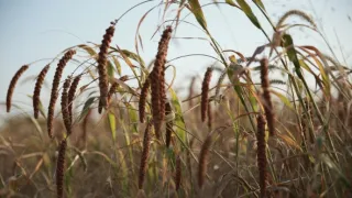 Hodvábnou cestou v ústrety svetu (2/3)