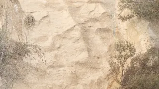 Dva a půl chlapa IX (11)